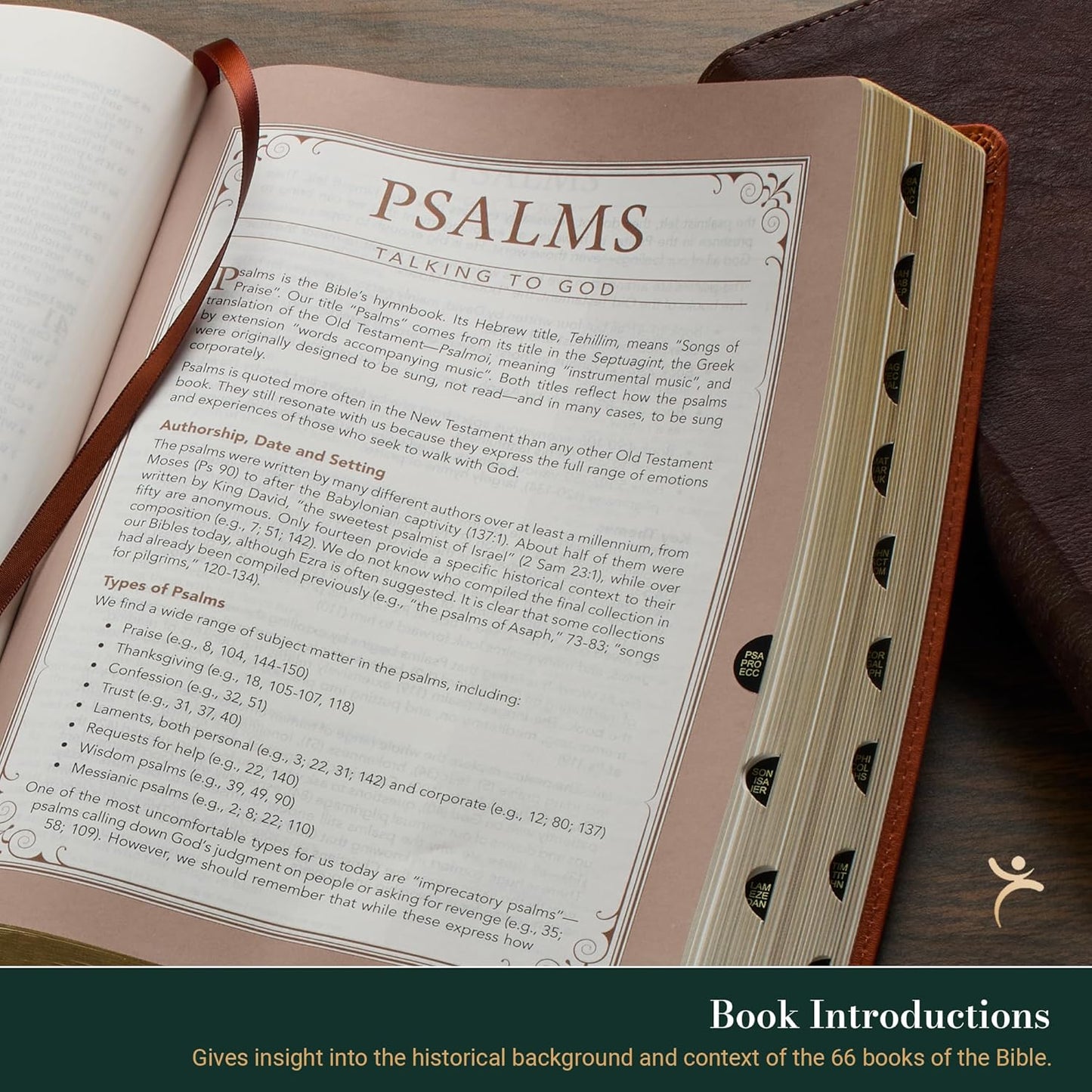 NLT Women’s Spirtual Growth Bible