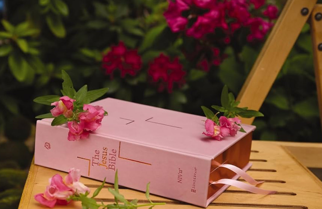 The Jesus Bible NIV