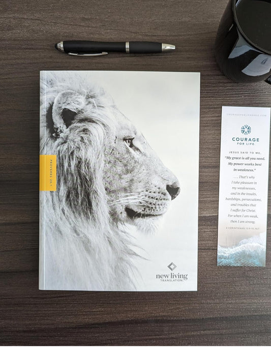 NLT Courage for life: study Bible for men